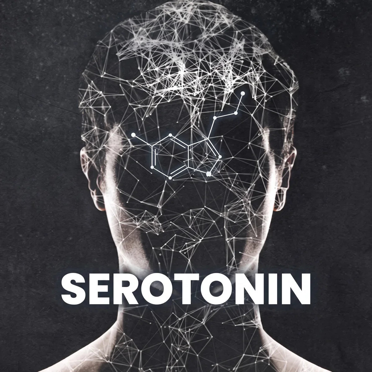 Silhouette of a human head overlaid with a glowing neural network pattern and the serotonin molecular structure, with the word SEROTONIN in bold white text below.