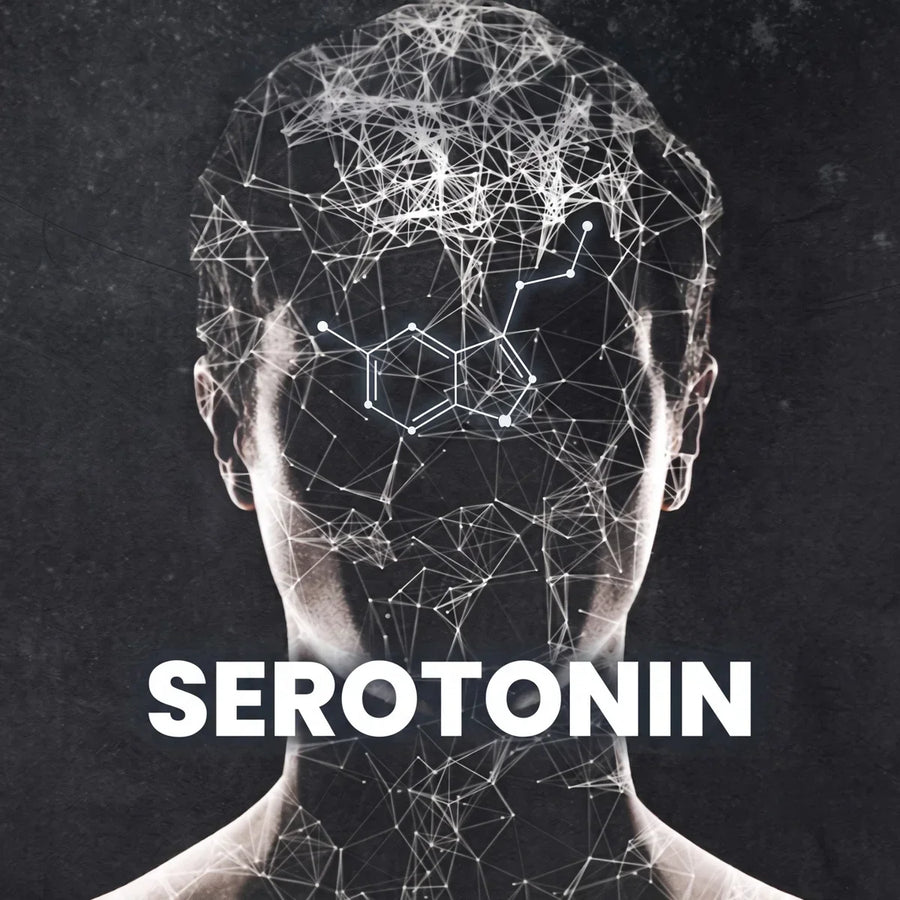 Silhouette of a human head overlaid with a glowing neural network pattern and the serotonin molecular structure, with the word SEROTONIN in bold white text below.